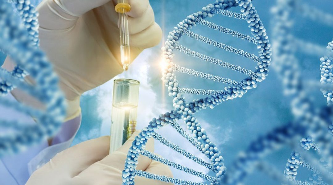 L’hormonothérapie pour traiter les cancers du sein hormonodépendants